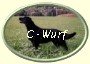 ButtonOvalCWurf2 ButtonOvalCWurf2