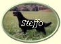 ButtonOvalSteffo2 ButtonOvalSteffo2