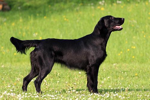 Dory20140430Steh2mittel Dory20140430Steh2mittel