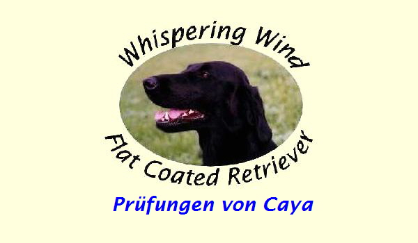 Pr�fungen von Caya