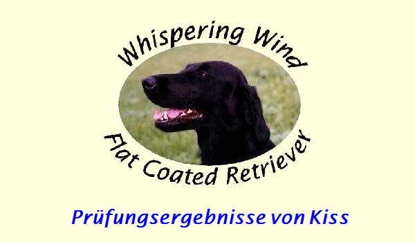 Pr�fungsergebnisse von Kiss