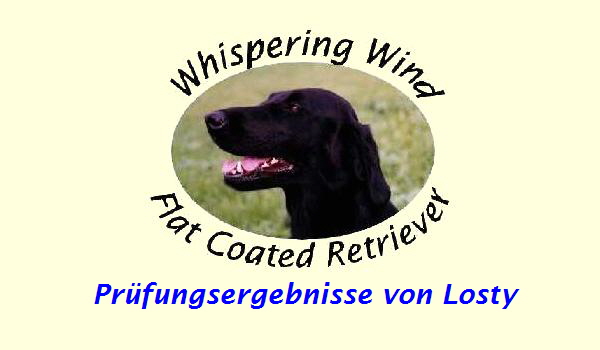 Pr�fungsergebnisse von Losty