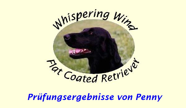 Pr�fungsergebnisse von Penny