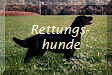 Rettungs-
hunde