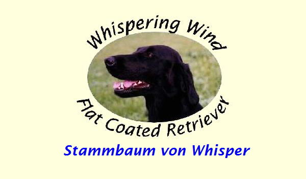 Stammbaum von Whisper Stammbaum von Whisper