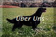 �ber Uns