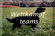 Wettkampf-
teams